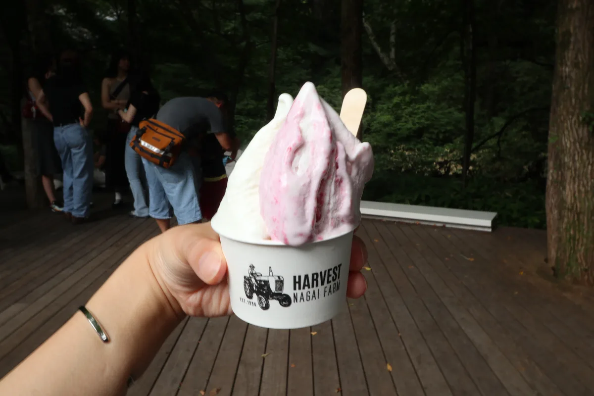 Gelato at Harunire Terrace in Karuizawa.