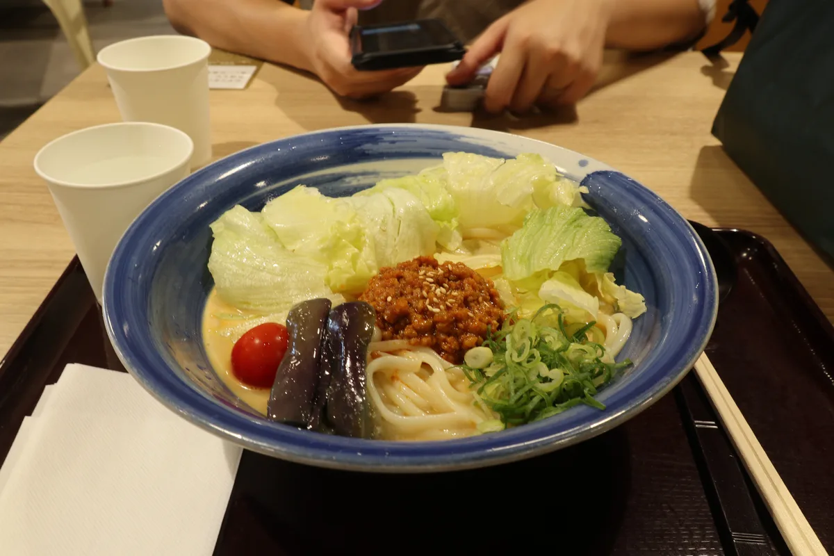 Udon served at the food court in Karuizawa Prince Shopping Plaza.