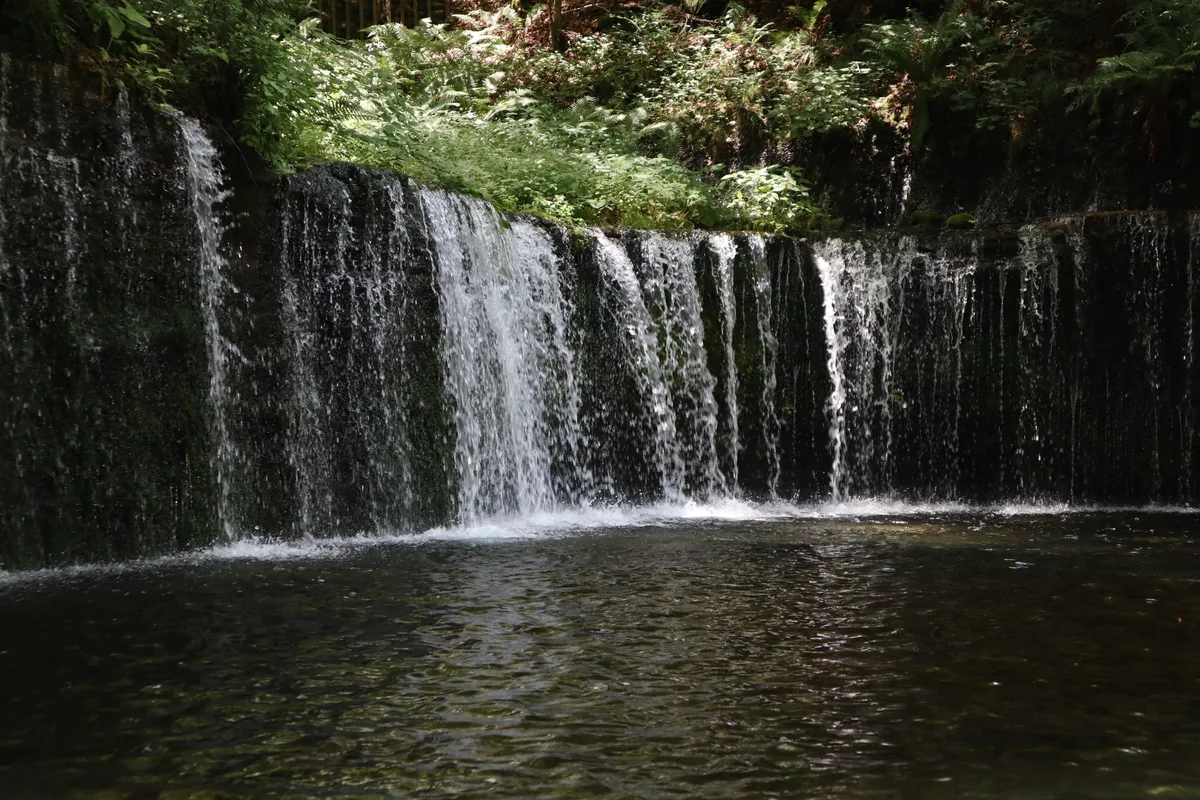 Wide view of Shiraito Falls surrounded by greenery.